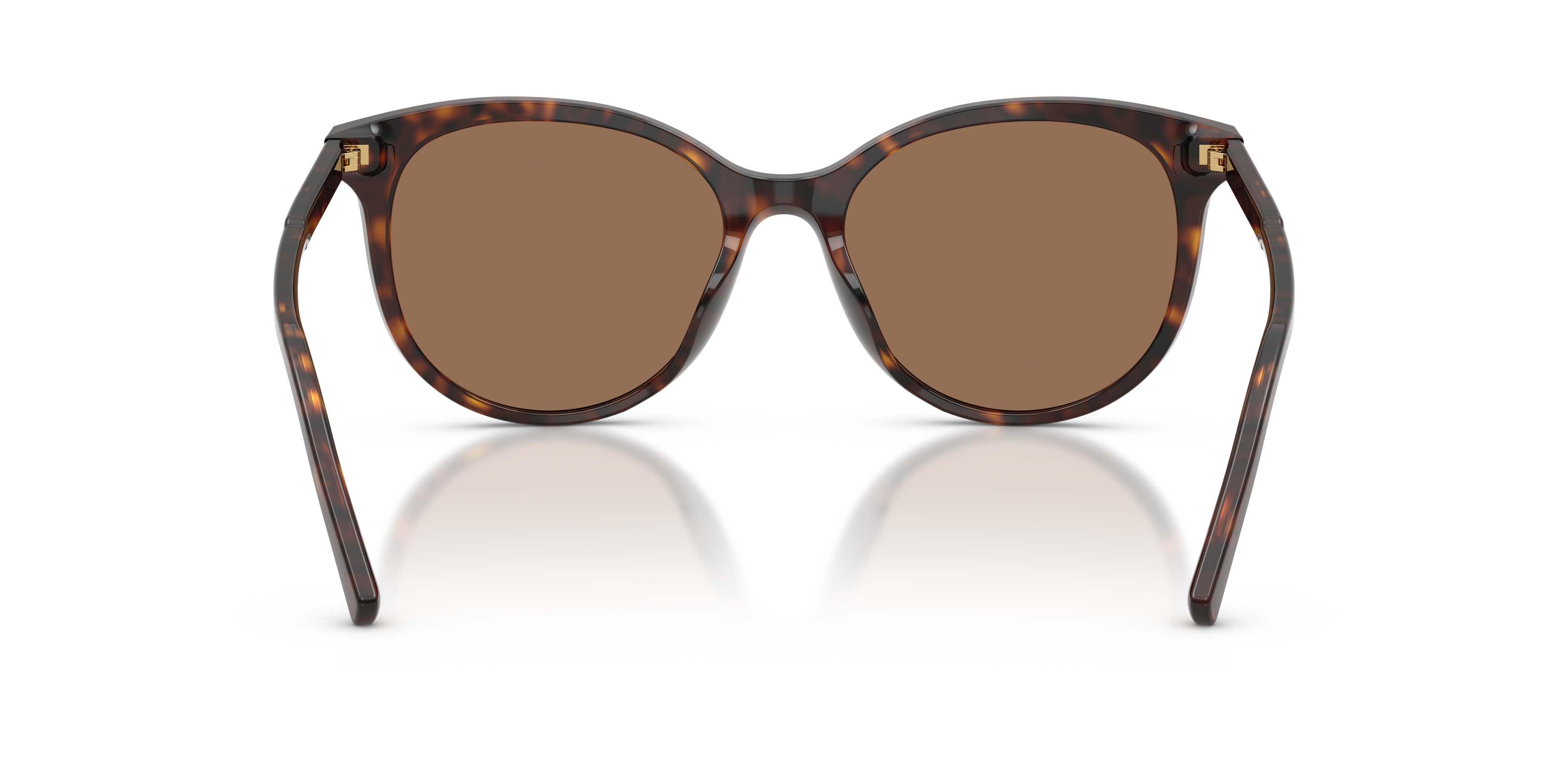 Dolce & Gabbana DG4540 502/13  